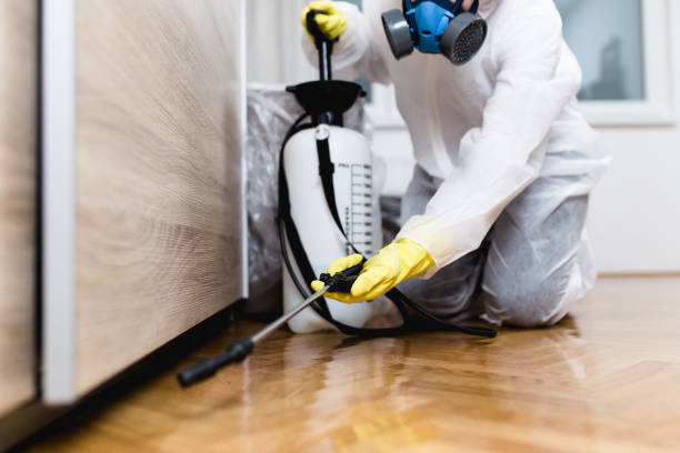Best Flea Control Services  in Rendon, TX