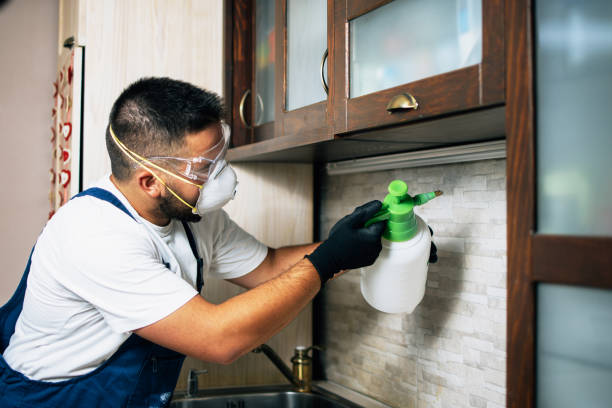 Best Pest Control for Restaurants  in Rendon, TX