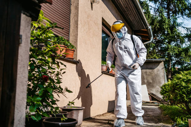 Best Pest Control Near Me  in Rendon, TX