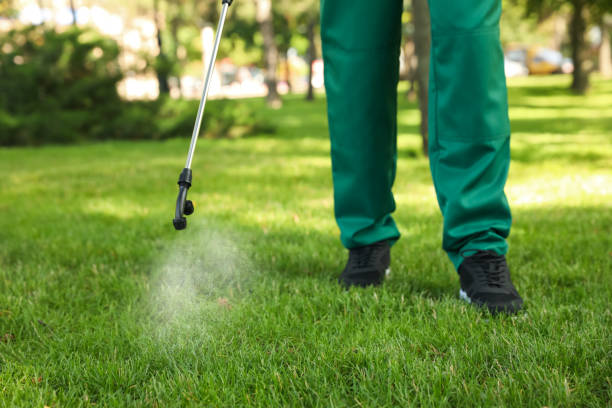 Best Cockroach Control Services  in Rendon, TX