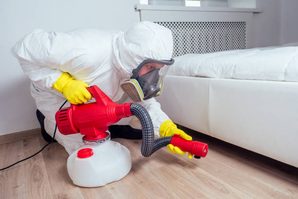 Best Affordable Pest Control Services  in Rendon, TX