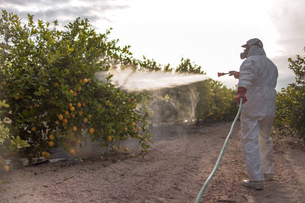 Pest Control for Restaurants in Rendon, TX