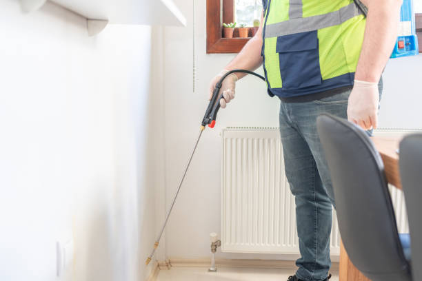 Best Wasp Removal Services  in Rendon, TX