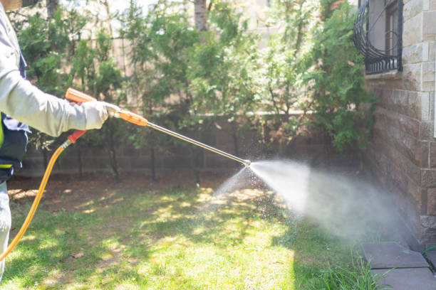 Best Spider Control Near Me  in Rendon, TX