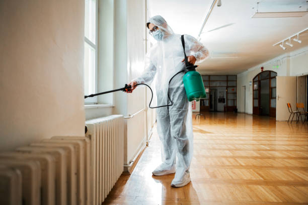 Best Affordable Pest Control Services  in Rendon, TX