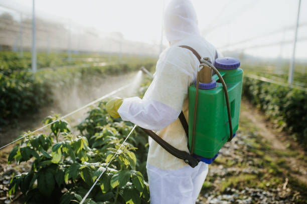 Professional Pest Control in Rendon, TX